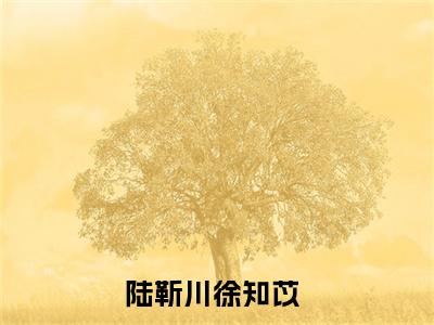 陆靳川徐知苡（陆靳川徐知苡全文阅读） 陆靳川徐知苡新书热荐免费小说