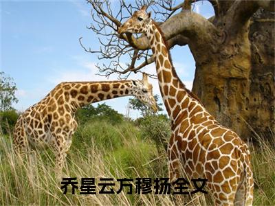 乔星云方穆扬全文免费在线阅读_（乔星云方穆扬全文免费阅读无弹窗大结局）乔星云方穆扬最新章节列表笔趣阁