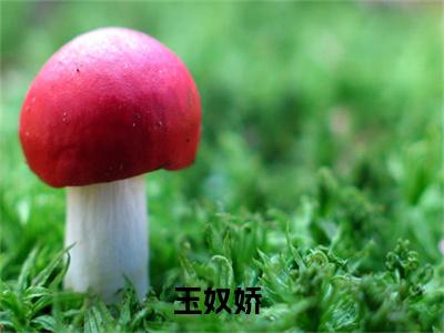 玉奴娇（谢蕴殷稷全文免费阅读）无弹窗-玉奴娇（谢蕴殷稷）完整版在线赏析笔趣阁