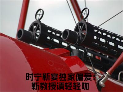 独家偏爱：靳教授请轻轻吻（时宁靳宴）全文免费阅读_时宁靳宴全文阅读_笔趣阁