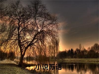 娱乐丞相全文免费阅读大结局 苏语最新章节列表