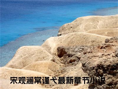 宋观澜常谨弋的小说全文免费阅读无弹窗,主角名字是宋观澜常谨弋的小说在线免费阅读大结局