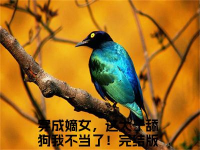 穿成嫡女，这太子舔狗我不当了！（谢韵赵景）全文免费阅读无弹窗_谢韵赵景最新小说_笔趣阁