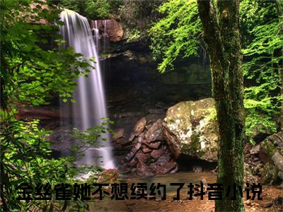 沈星冉时晏（金丝雀她不想续约了全文在线阅读）-沈星冉时晏免费阅读