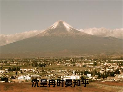 沈星冉时晏（金丝雀她不想续约了）热门免费小说-金丝雀她不想续约了（沈星冉时晏）精彩小说全文赏析