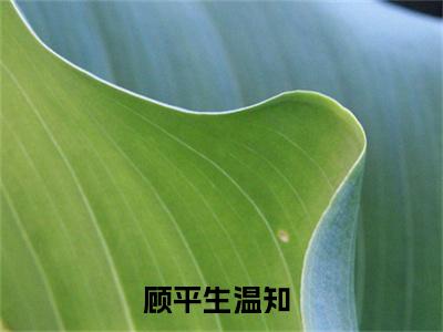 顾平生温知免费小说,顾平生温知全文免费阅读无弹窗大结局
