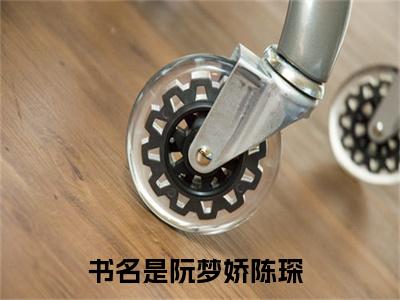 阮梦娇陈琛正版小说全文阅读-小说推荐阮梦娇陈琛精彩章节全文阅读