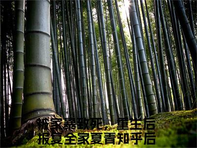 被家暴致死，重生后报复全家夏青全文（被家暴致死，重生后报复全家夏青）完整版小说阅读无删减_（被家暴致死，重生后报复全家夏青）被家暴致死，重生后报复全家夏青全本列表免费笔趣阁（被家暴致死，重生后报复全家夏青）