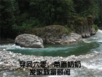穿回六零，带着奶奶发家致富顾闻（穿回六零，带着奶奶发家致富顾闻）是什么小说-小说穿回六零，带着奶奶发家致富顾闻全文阅读