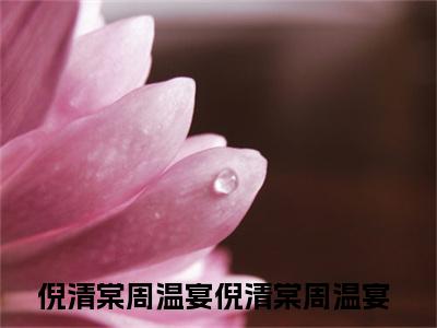 倪清棠周温宴（倪清棠周温宴）全文免费阅读无弹窗大结局_倪清棠周温宴最新章节列表_