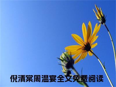 倪清棠周温宴小说全文无删减-倪清棠周温宴小说大结局免费阅读