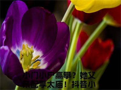 小门小户高攀？她父亲配享太庙！是哪部小说的主角，姜明月谢渊免费阅读全文大结局