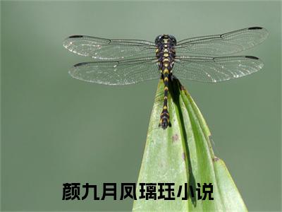 2023年精选好书（颜九月凤璃珏），颜九月凤璃珏全文无删减版在线阅读