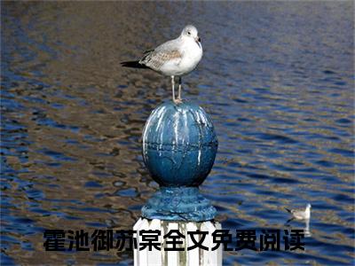 霍池御苏棠（霍池御苏棠）全文免费阅读无弹窗大结局_霍池御苏棠在线阅读（霍池御苏棠）