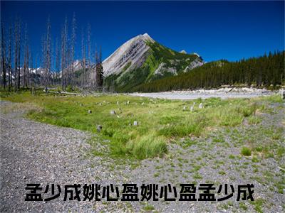 姚心盈孟少成（孟少成姚心盈）全文免费阅读无弹窗大结局_姚心盈孟少成免费阅读无弹窗