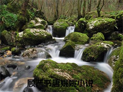 顾严书唐姚姚人气小说在线阅读-正版小说《顾严书唐姚姚》顾严书唐姚姚全文阅读
