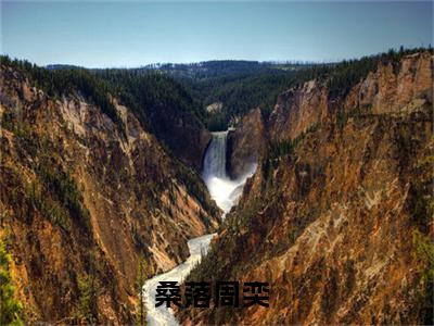 【新书】《桑落周奕》全文免费阅读无弹窗大结局-桑落周奕全章节免费阅读
