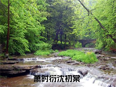 萧时衍沈初棠小说在线阅读(萧时衍沈初棠)_萧时衍沈初棠小说最新章节