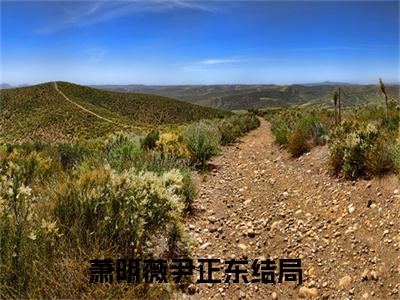 至此之后，我们之间不死不休（萧明薇尹正东）小说全文免费阅读正版无弹窗_(萧明薇尹正东)免费阅读无弹窗最新章节列表_笔趣阁