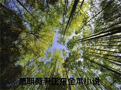 至此之后，我们之间不死不休（萧明薇尹正东）全文免费阅读大结局_至此之后，我们之间不死不休最新章节列表_笔趣阁