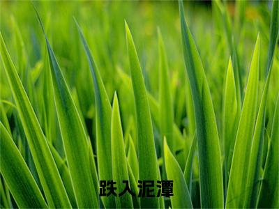 南初厉行舟小说最新章节阅读-小说南初厉行舟（跌入泥潭）已完结小说精彩大结局