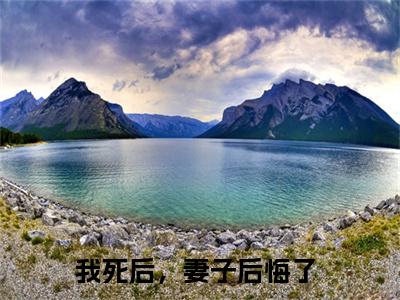 我死后，妻子后悔了（白落冉林修宇）小说全文-我死后，妻子后悔了无弹窗免费阅读