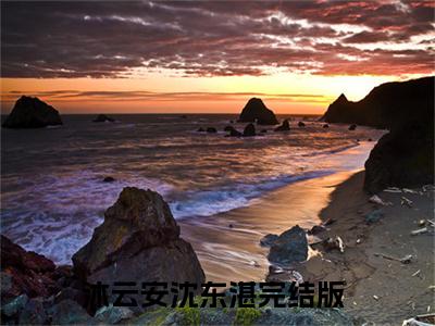 沐云安沈东湛（沐云安沈东湛）小说最新章节-沐云安沈东湛全文免费阅读无弹窗大结局