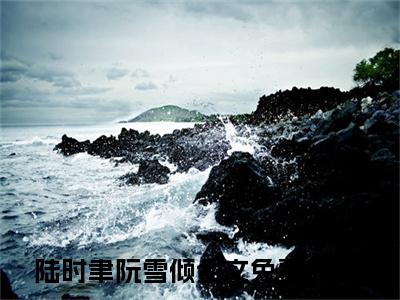 陆时聿阮雪倾（陆时聿阮雪倾）全文免费阅读无弹窗大结局_陆时聿阮雪倾在线阅读（陆时聿阮雪倾）