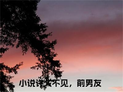 许久不见，前男友(时绾宁宋洛屿)全文免费阅读_许久不见，前男友(时绾宁宋洛屿)免费在线阅读_笔趣阁(时绾宁宋洛屿)
