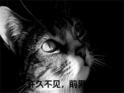 (热推新书)美文摘抄（时绾宁宋洛屿）主人公为（许久不见，前男友）的小说 时绾宁宋洛屿大结局全文免费阅读_笔趣阁