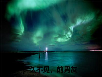 许久不见，前男友免费阅读-（许久不见，前男友）全文免费阅读无弹窗大结局（时绾宁宋洛屿）最新章节列表_笔趣阁
