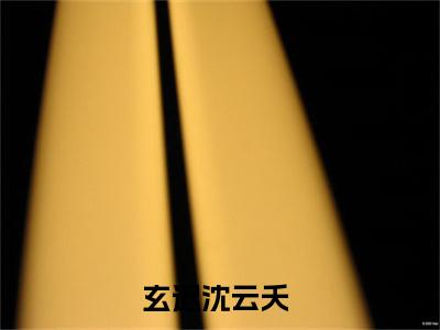 玄迟沈云夭全文免费阅读无弹窗大结局-(玄迟沈云夭)什么小说-玄迟沈云夭热门小说更新