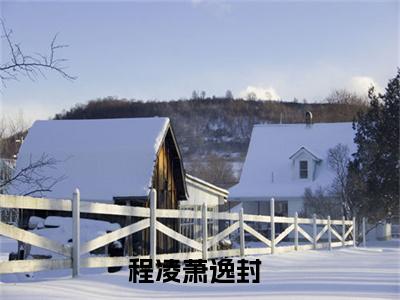 程凌萧逸封主角是程凌萧逸封全文免费阅读无弹窗-程凌萧逸封最新章节列表-笔趣阁