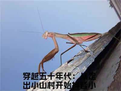 周兴然（穿越五十年代：从走出小山村开始小说）全文免费阅读无弹窗大结局_周兴然完整版小说阅读（穿越五十年代：从走出小山村开始小说）