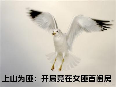 曹翊（上山为匪：开局竟在女匪首闺房）全文免费阅读无弹窗完整版，(曹翊)免费阅读全文最新章节列表_笔趣阁