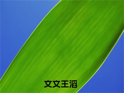 热门小说文文王滔文文王滔全文免费阅读无弹窗大结局-文文王滔全文无弹窗免费阅读大结局
