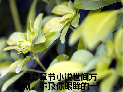 世间万物，不及你眼眸的一抹风景（世间万物，不及你眼眸的一抹风景）小说在线阅读_世间万物，不及你眼眸的一抹风景全本免费小说阅读（唐佳月顾轻北）