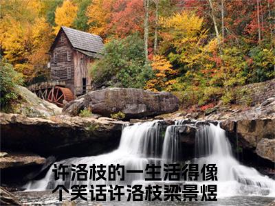 许洛枝的一生活得像个笑话（许洛枝梁景煜）全文免费阅读无弹窗大结局_许洛枝的一生活得像个笑话_笔趣阁