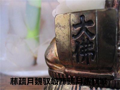林疏月魏驭城（林疏月魏驭城）精彩小说-小说林疏月魏驭城全文无删减版免费阅读