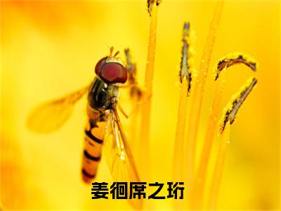 《席之珩姜徊》姜徊席之珩(热推新书)-抖音热推姜徊席之珩无弹窗阅读