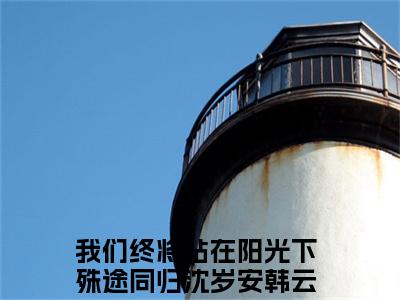 我们终将站在阳光下殊途同归（沈岁安韩云峥）全文在线阅读无弹窗大结局_我们终将站在阳光下殊途同归精选免费小说大结局阅读_沈岁安韩云峥