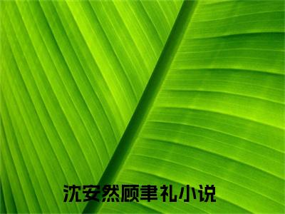 顾聿礼沈安然（沈安然顾聿礼）全文免费阅读无弹窗大结局_沈安然顾聿礼最新章节列表_笔趣阁（顾聿礼沈安然）