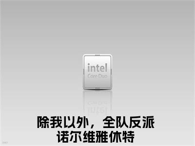 除我以外，全队反派（诺尔维雅休特）全文小说免费阅读-除我以外，全队反派最新章节列表_笔趣阁