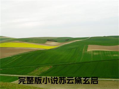 苏云黛玄启（玄启苏云黛）全网首发小说-小说玄启苏云黛（苏云黛玄启）完整版全文在线赏析