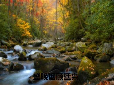 盛晚烟顾廷枭（盛晚烟顾廷枭）全文免费阅读无弹窗大结局_带着空间穿七零，磕着瓜子混日子最新章节列表_笔趣阁（盛晚烟顾廷枭）