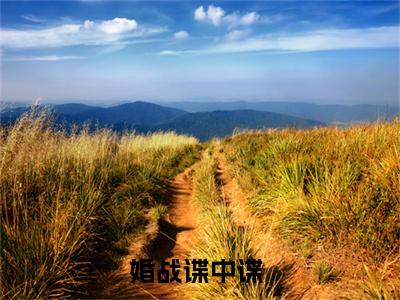 张凡免费小说 婚战谍中谍全文完整版阅读