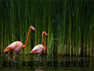 （张尘降）热门美文阅读_热门小说玄幻：夭寿了！我怎么就无敌了主人公是（张尘降）最新章节限时观看_笔趣阁