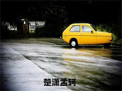 楚潇孟轲小说免费（楚潇孟轲免费阅读）楚潇孟轲全文免费阅读无弹窗大结局_楚潇孟轲小说最新章节列表（楚潇孟轲）
