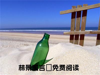 林景渊言婈（言婈林景渊）全文免费阅读无弹窗大结局_言婈林景渊最新章节列表（林景渊言婈）