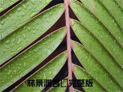 林景渊言婈（言婈林景渊）全文完整版免费阅读_言婈林景渊（林景渊言婈全文免费阅读）最新章节列表_笔趣阁